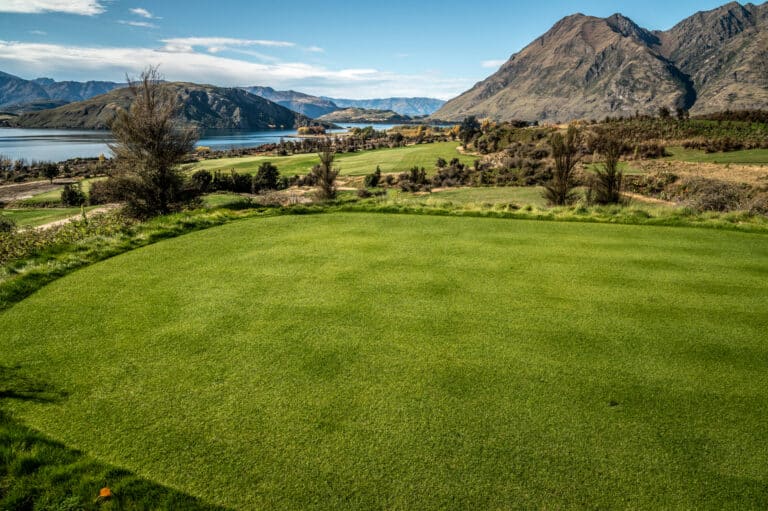 Golf Course Glendu Bay Wanaka